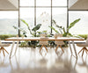 Dining Table Olympus Live Edge 300cm Oak Wood Natural Slanted Frame Steel 50mm Top