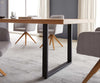 Dining Table Olympus 300x100cm Oak Wood Natural Square Frame Black