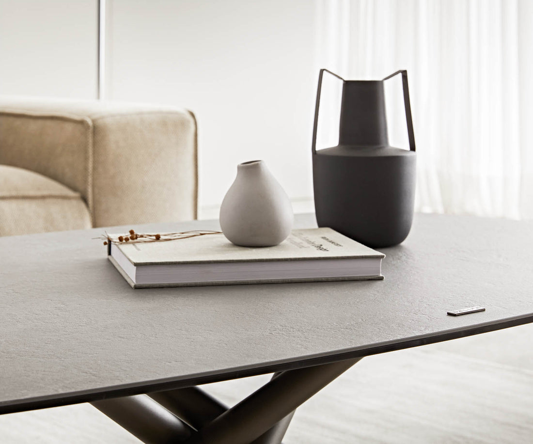 Coffee Table Sarita 120x70cm Ceramic Aspetto Concrete Metal Frame Titanium