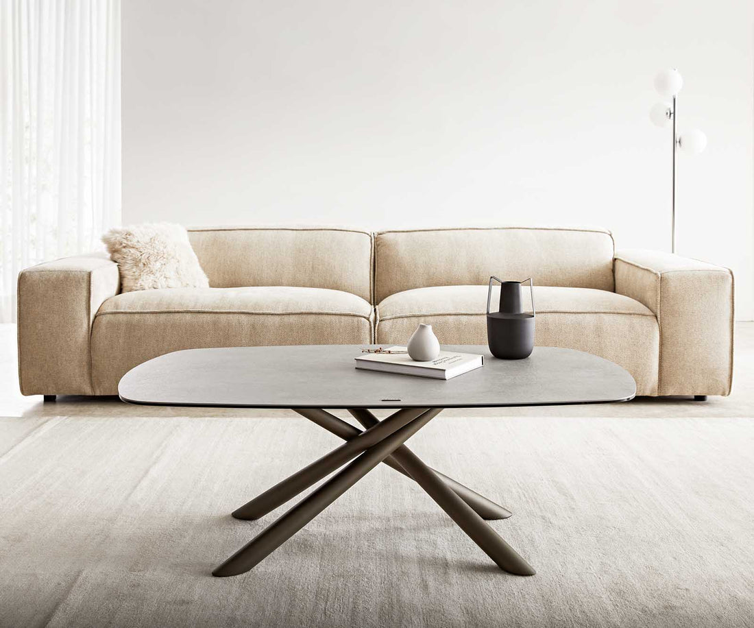 Coffee Table Sarita 120x70cm Ceramic Aspetto Concrete Metal Frame Titanium