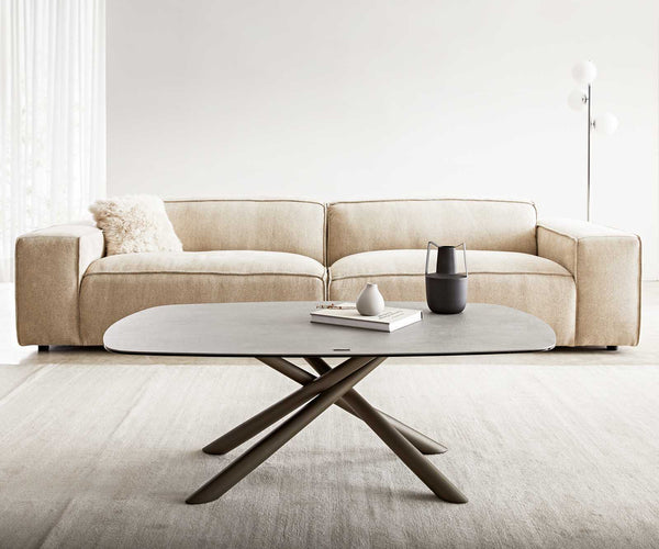 Coffee Table Sarita 120x70cm Ceramic Aspetto Concrete Metal Frame Titanium