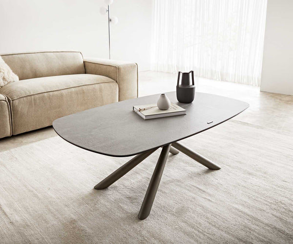 Coffee Table Sarita 120x70cm Ceramic Aspetto Concrete Metal Frame Titanium