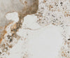 Dining Table Aurora 300x100cm Ceramic Beige Spider Frame Silver