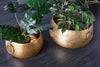 Set Of 2 Flower Pots Orient 29cm/37cm Metal Gold