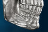Wall Sculpture Skull 40cm Metal Silver