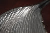 Decorative Bowl Abstract Leaf 64cm Metal Silver
