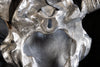 Decorative Skull Matador 70cm Metal Silver