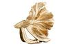 Decorative Figure Fighting Fish Crowntail 60cm Gold Betta Fish