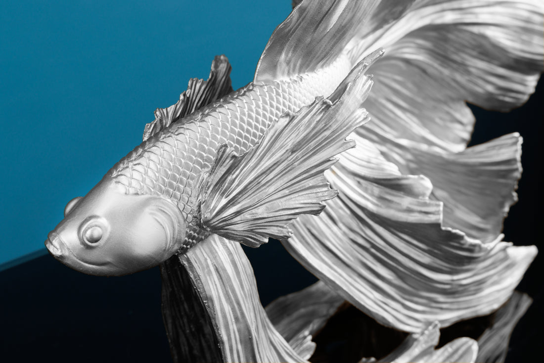 Decorative Figure Fighting Fish Crowntail 36cm Silver Betta Fish