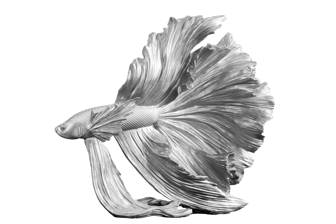 Decorative Figure Fighting Fish Crowntail 36cm Silver Betta Fish