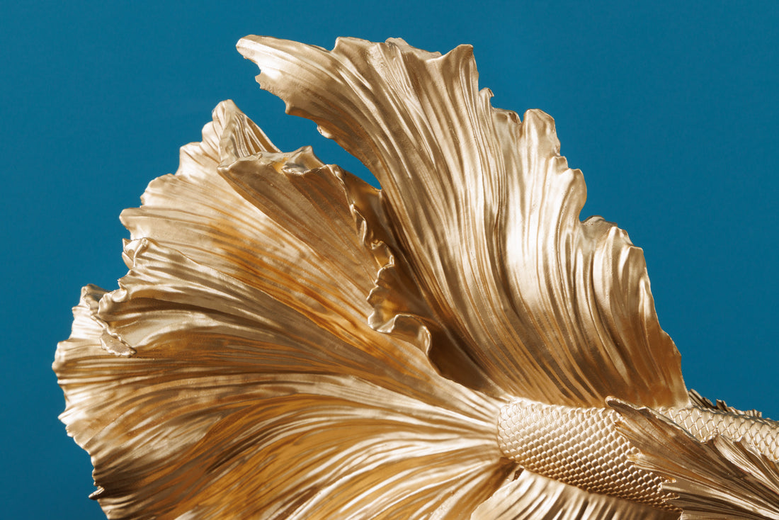 Decorative Figure Fighting Fish Crowntail 36cm Gold Betta Fish