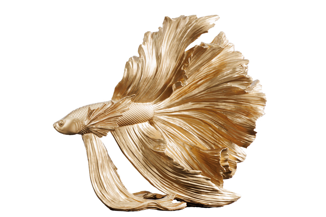 Decorative Figure Fighting Fish Crowntail 36cm Gold Betta Fish