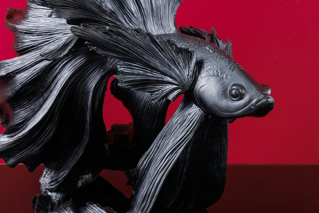 Decorative Figure Fighting Fish Crowntail 60cm Black Betta Fish