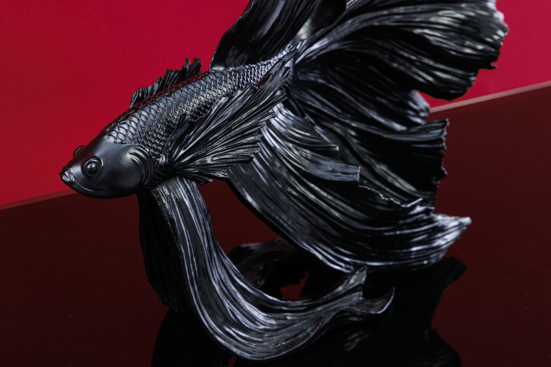 Decorative Figure Fighting Fish Crowntail 36cm Black Betta Fish