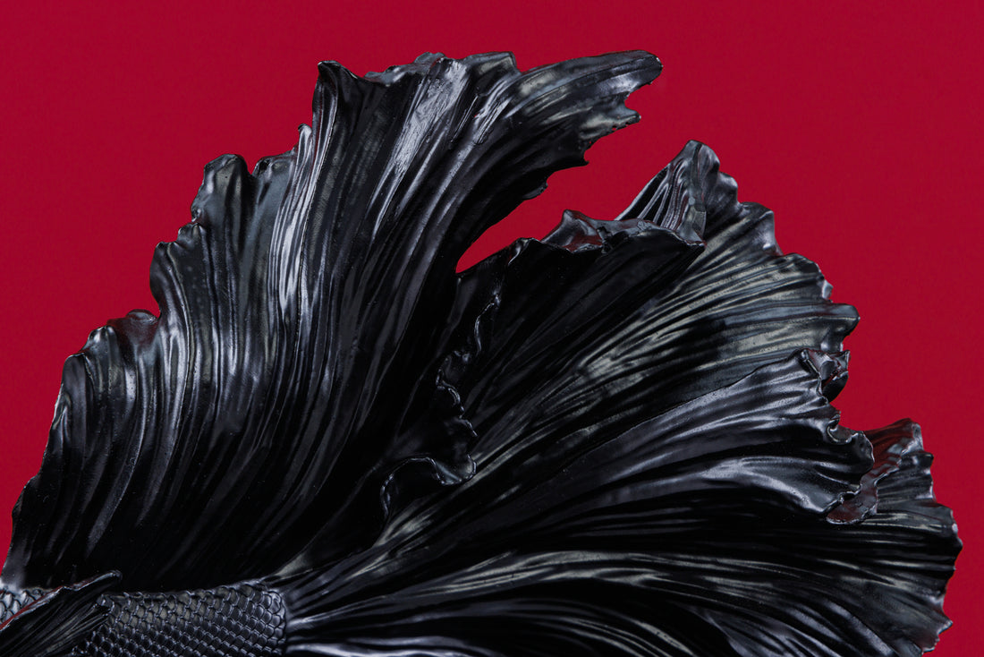 Decorative Figure Fighting Fish Crowntail 36cm Black Betta Fish