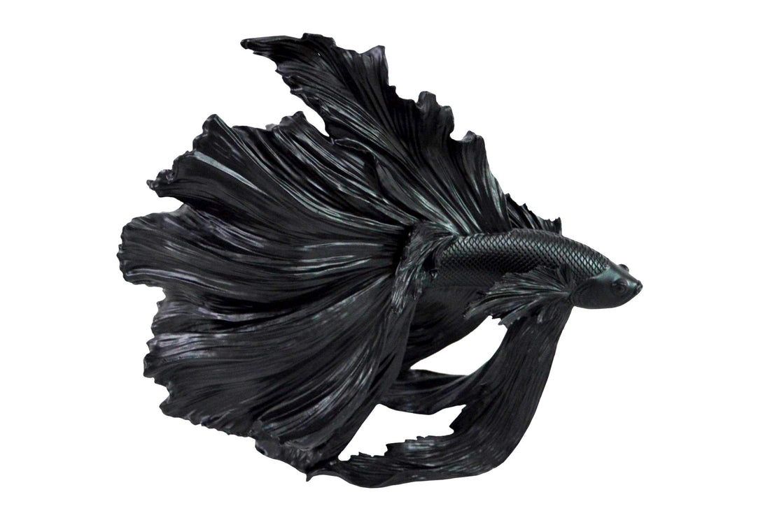 Decorative Figure Fighting Fish Crowntail 36cm Black Betta Fish