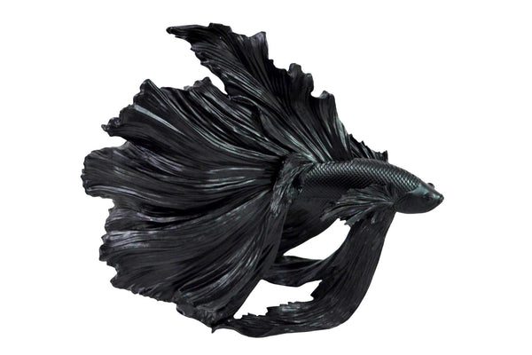 Decorative Figure Fighting Fish Crowntail 36cm Black Betta Fish