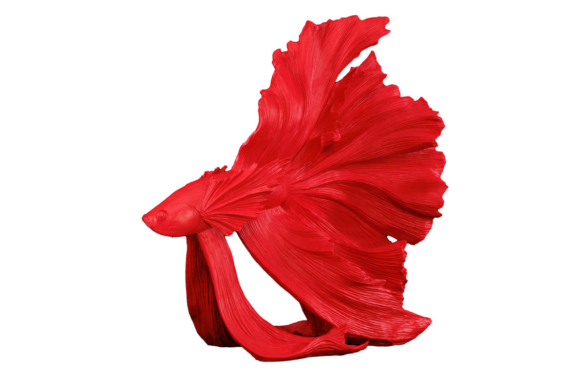 Decorative Figure Fighting Fish Crowntail 60cm Red Betta Fish