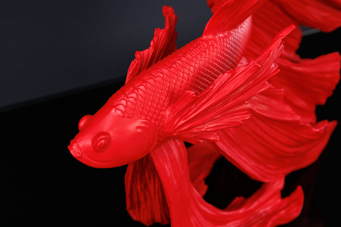 Decorative Figure Fighting Fish Crowntail 36cm Red Betta Fish