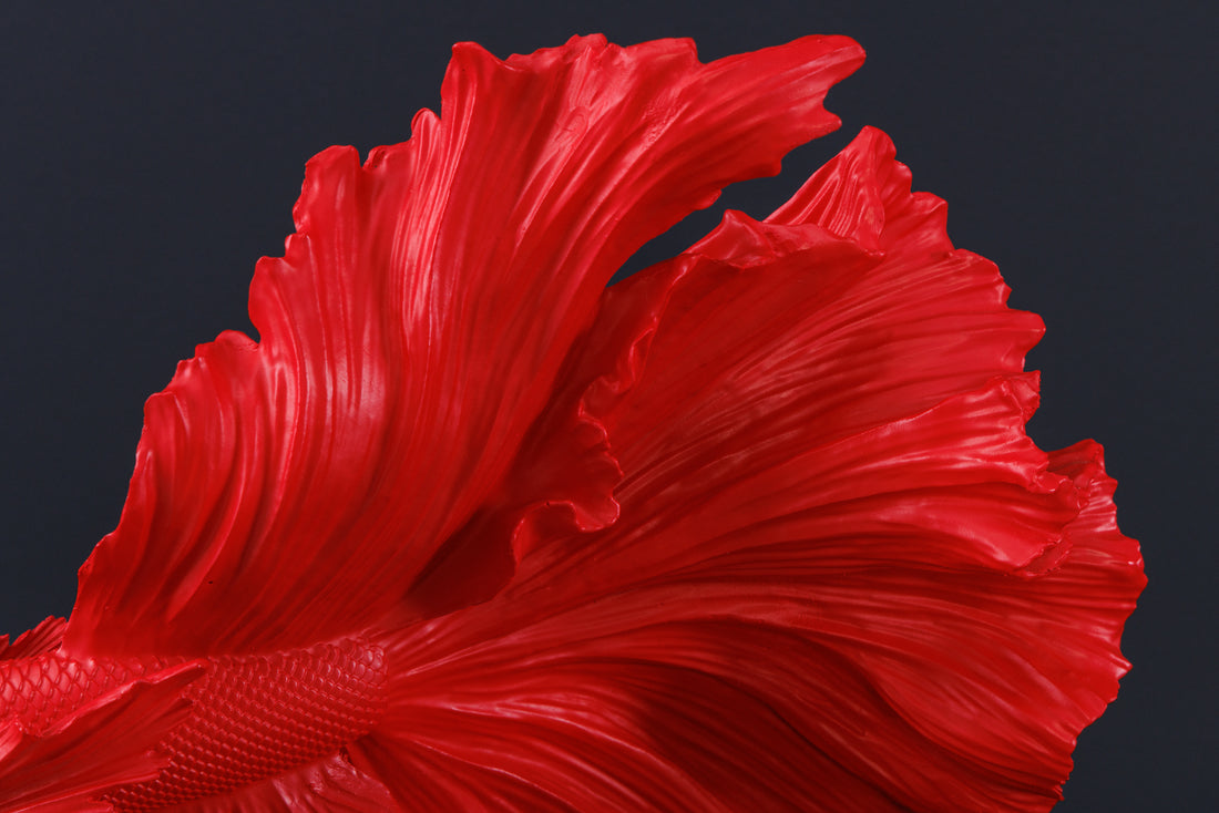Decorative Figure Fighting Fish Crowntail 36cm Red Betta Fish