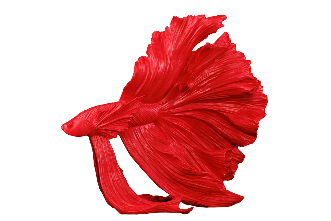 Decorative Figure Fighting Fish Crowntail 36cm Red Betta Fish