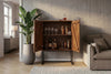 Cabinet Orbit 120cm Mango Wood Brown