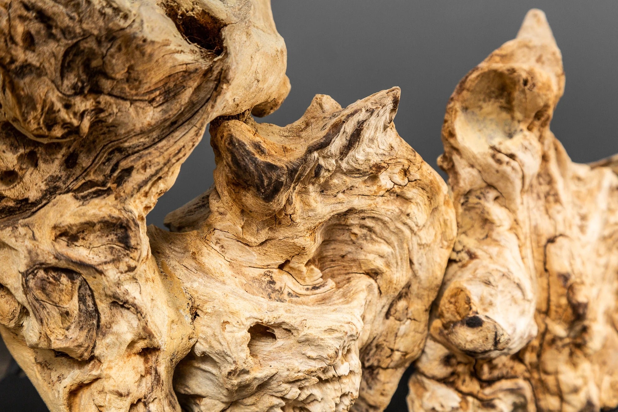 Table Lamp Pure Unique 80cm Driftwood Beige