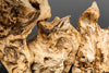 Table Lamp Pure Unique 80cm Driftwood Beige