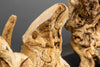 Table Lamp Pure Unique 80cm Driftwood Beige