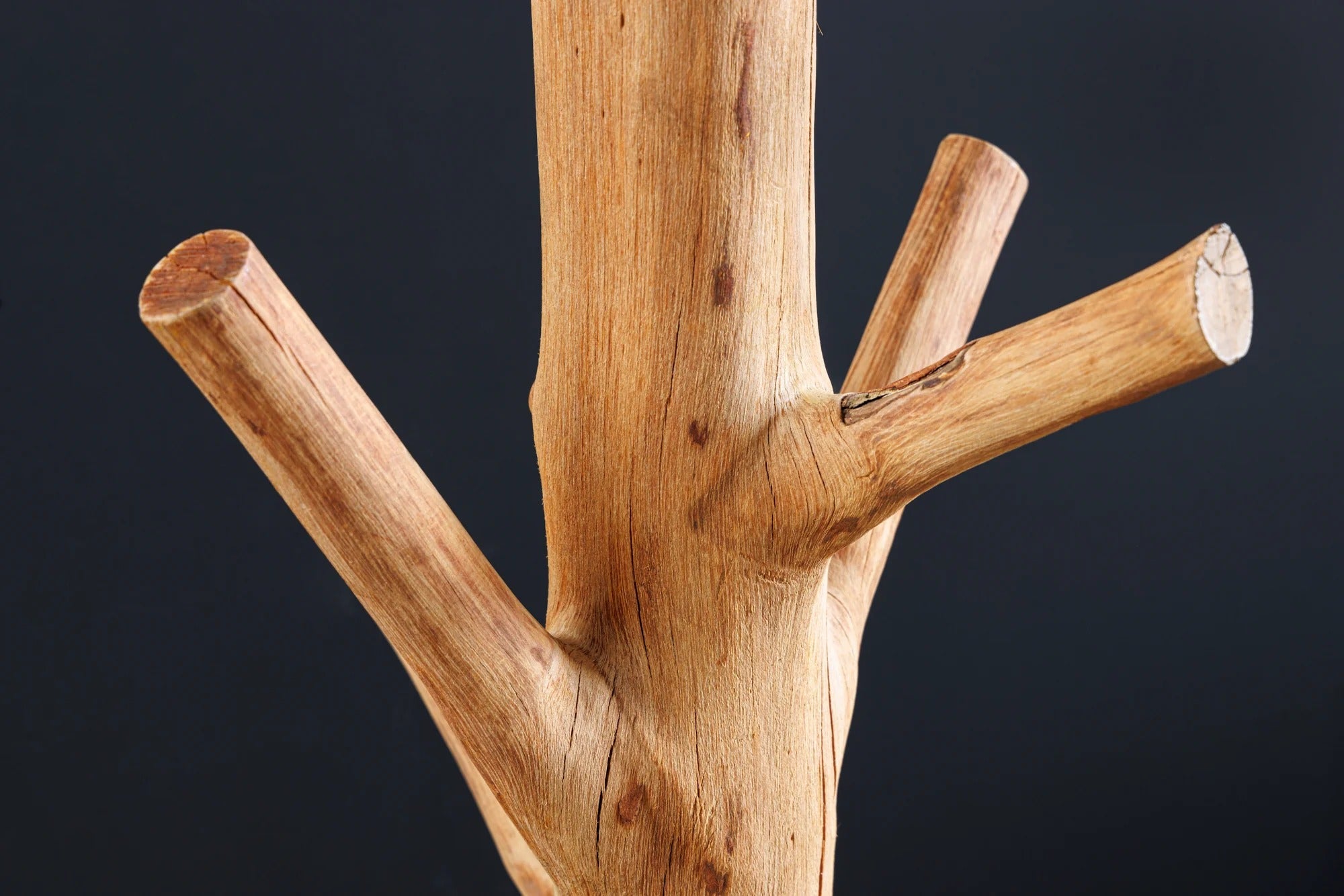 Floor Lamp Tree Nature 177cm Mangosteen Wood Natural