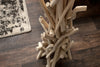 Floor Lamp Wild Nature 155cm Driftwood Natural