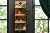 Wall Shelf Hemingway 80cm Mahogany Wood Natural