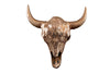 Decorative Skull Matador 56cm Metal Gold