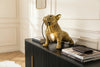 Table Lamp Bulldog 35cm Polyresin Gold
