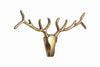 Deer Antler Veado 98cm Metal Gold