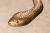 Round Side Table Wildlife Snake 62cm Glass Metal Copper