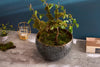 Flower Pot Orient 23cm Metal Silver