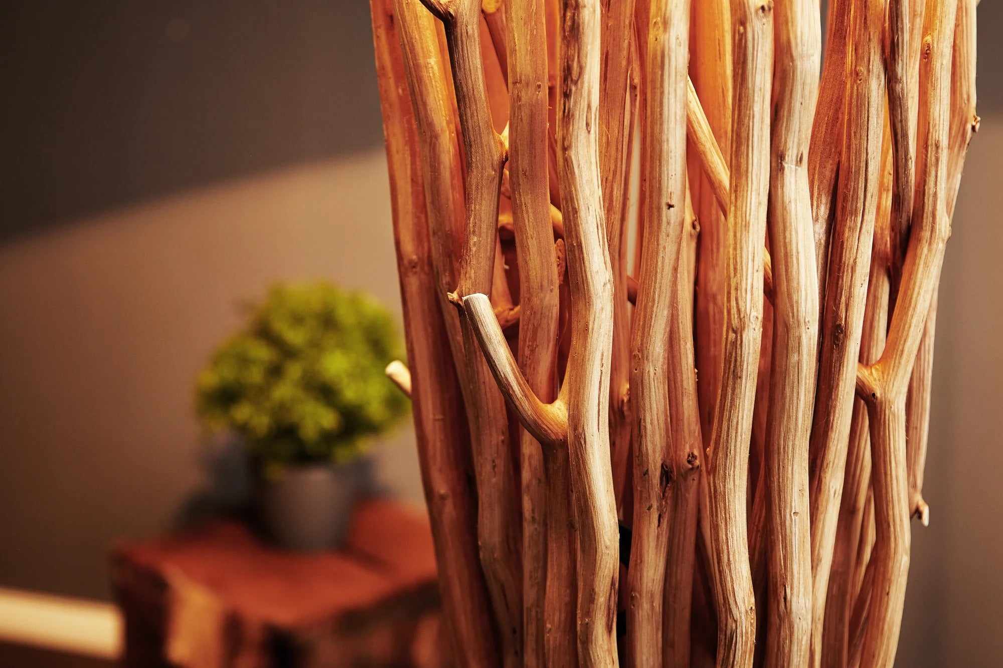 Floor Lamp Euphoria 180cm Driftwood White