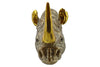 Wall Decoration Rhino 39cm Polyresin Gold