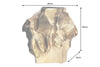 Decorative Vase Flux 30cm Metal Gold