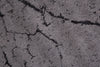 Rug Fragments 240x160cm Cotton Grey