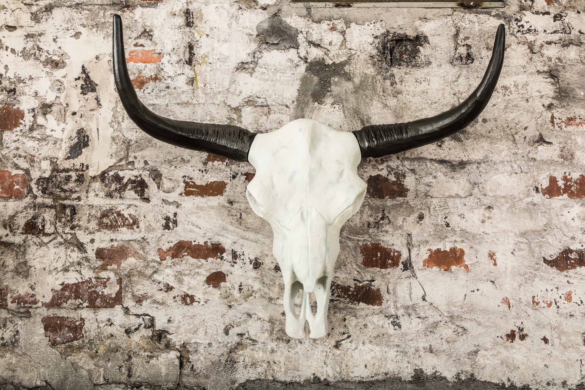 Decorative Skull El Toro 70cm White Black