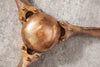 Decorative Propeller Screw III 60cm Metal Copper