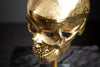 Decorative Sculpture Skull 35cm Metal Gold