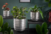 Flower Pots Mandala Silver - Set of 3