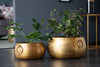Flower Pots Orient Gold - Set of 2